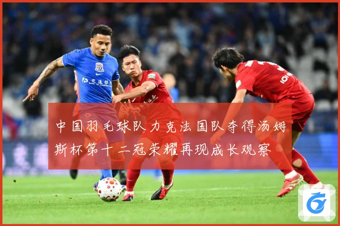 中国羽毛球队力克法国队夺得汤姆斯杯第十二冠荣耀再现成长观察