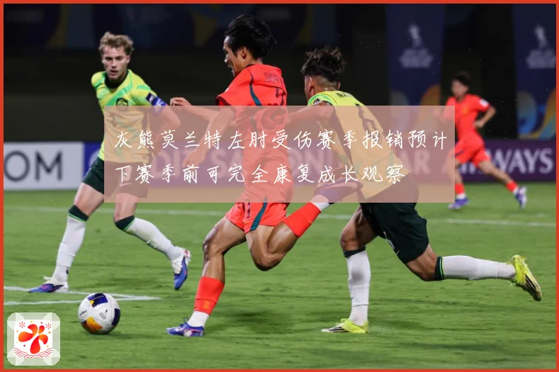 灰熊莫兰特左肘受伤赛季报销预计下赛季前可完全康复成长观察